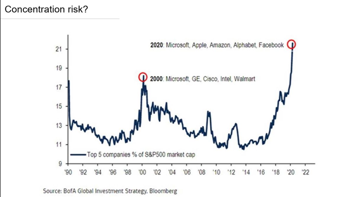 Market Insights: Winners keep winning